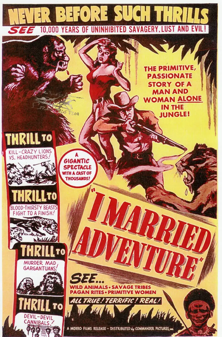 I married adventure poster Reel Art Lit Design