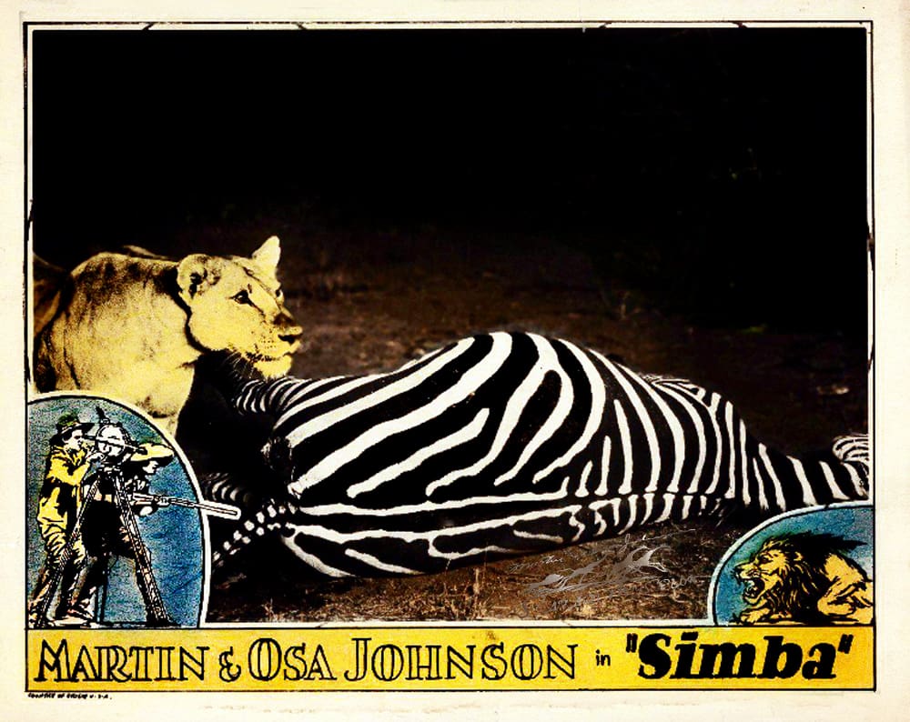 Simba-poster-lioness-with-zebra-lobby-Reel-Art-Lit-Design