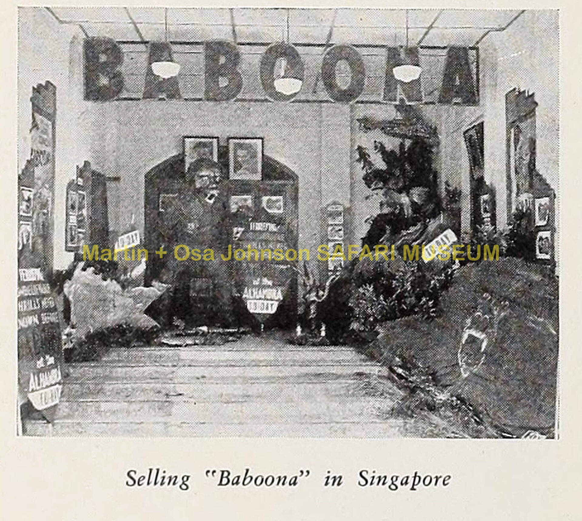 Ephemera-Baboona-theatre-display-in-Singapore-Martin-and-Osa-Johnson